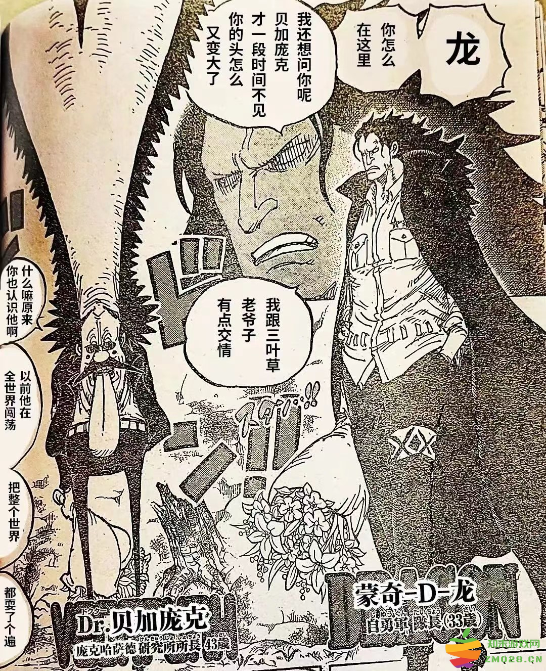 《航海王》第1066话更新：龙和贝加庞克是好友，罗宾故乡奥哈拉没有灭亡？：真相大揭秘！每个人都喜欢的故事！