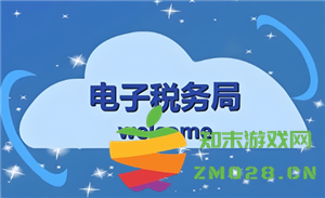 如果在电子税务局进行实名核验时失败了，该如何处理和应对措施详细指南