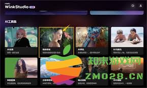 如何使用wink软件进行画质修复的有效技巧与详细步骤介绍