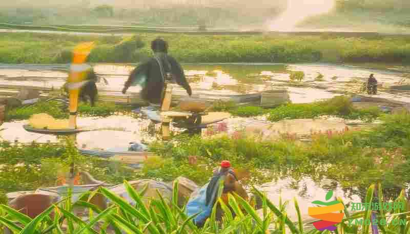 艾尔登法环流浪商人铃珠7获取技巧解析与实战应用指南，助你轻松掌握去向与使用