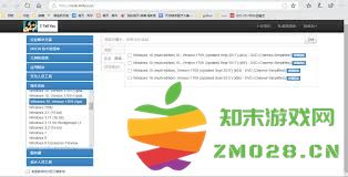 如何在Windows 10系统中安装itellyou软件的详细步骤介绍