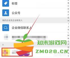 如何高效地进行游戏语音录屏操作与技巧分享