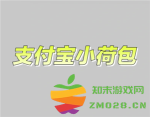 小荷包的功能是什么？攒钱过程中存放的小荷包是否存在风险？