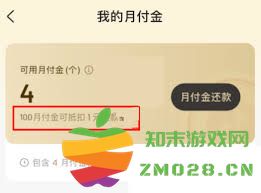 详解抖音月付的使用规则与注意事项，帮助你更好地掌握付款方式