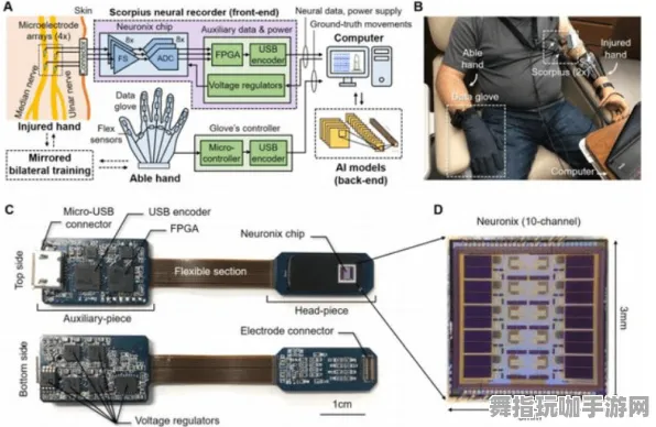 脑机接口专属版本-角色发展规划-回顾GDC 2025游戏开发者大会已过去37天-探索体感交互新体验