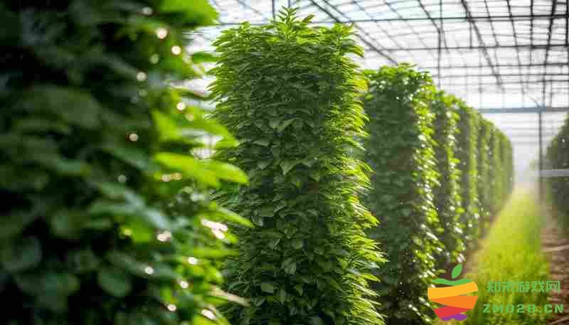 缺氧环境下乔木树木的水分需求与智能化种植解决方案研究