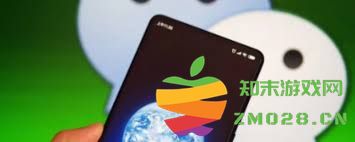 在iOS17版本中，微信是否支持双重登录功能？