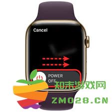 Apple Watch联系人未能正常同步的解决方案与修复步骤分享