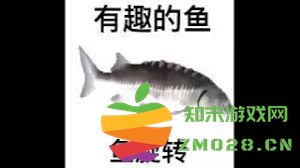鱼类生物的独特魅力与趣味特征探讨