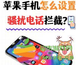 如何在苹果手机上设置来电显示功能以便更好地识别来电者的身份