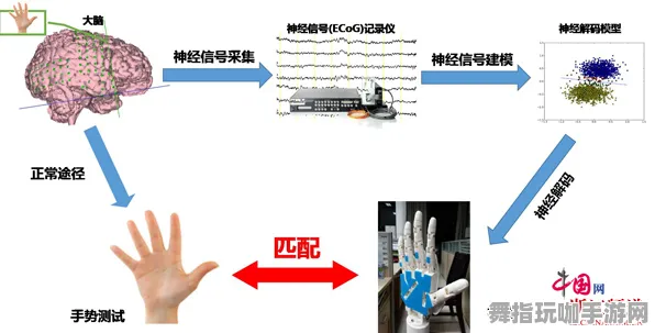 脑机接口专用版-装备合成攻略-动态更新-0428-跨平台联机支持