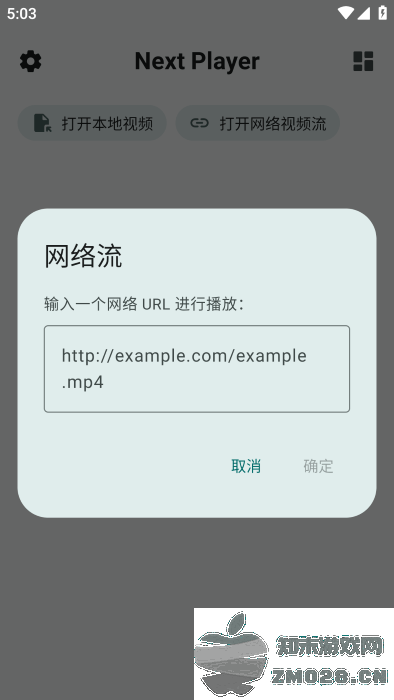 next player app v0.13.0 安卓版 3