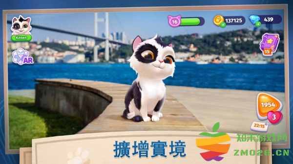 我的可爱猫咪游戏 v1.0.2 安卓版 0