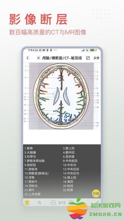 3dbody解剖学专业版 v8.8.51 安卓手机版 2