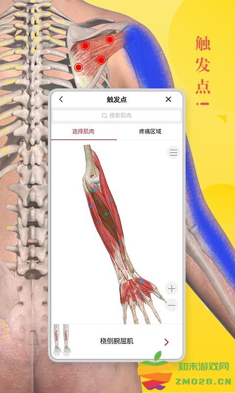 3dbody解剖学专业版 v8.8.51 安卓手机版 3