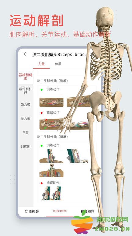 3dbody解剖学专业版 v8.8.51 安卓手机版 1