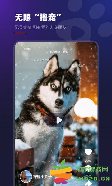 趣爪印app v4.1.3 安卓最新版 1