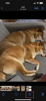 如何检查他人在iPhone上照片所拍摄的具体时间和日期信息