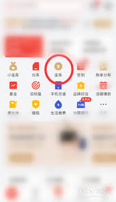 怎样查询自己的京东金条服务是否已经成功开通并获取相关信息