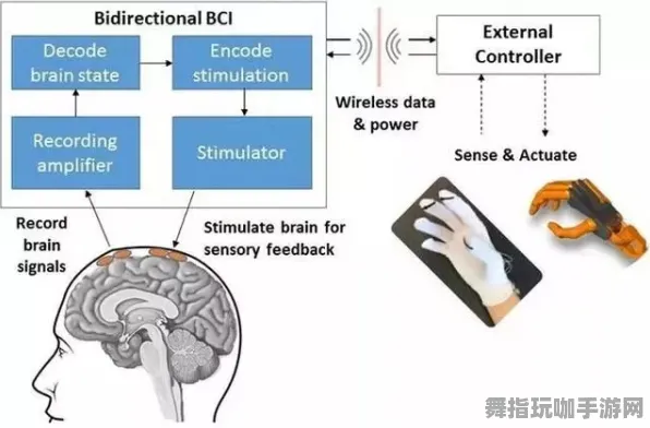 脑机接口专用版-跨平台联机-热修复补丁V1-角色培养方案