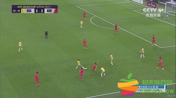 飞龙电视tv2025最新版 v0125 安卓版 2