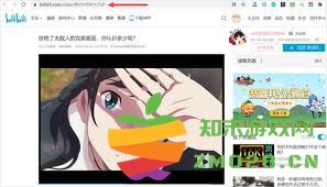 获取哔哩哔哩视频的完整指南：如何轻松下载你喜欢的视频内容