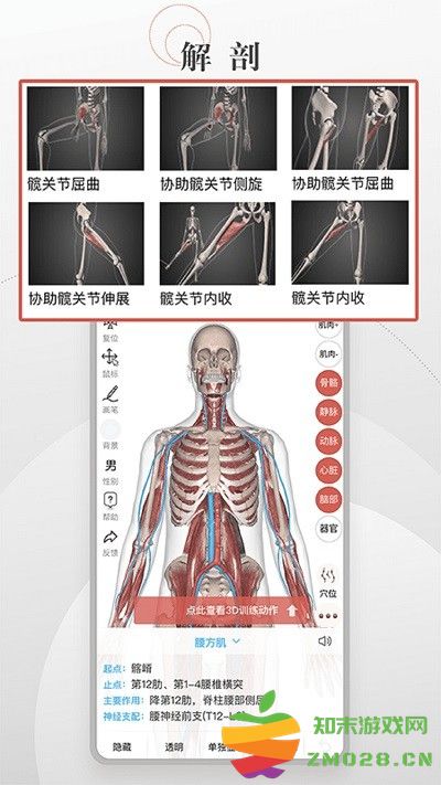 第三人体软件 v1.3.1 安卓官方版 0