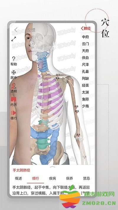 第三人体app下载