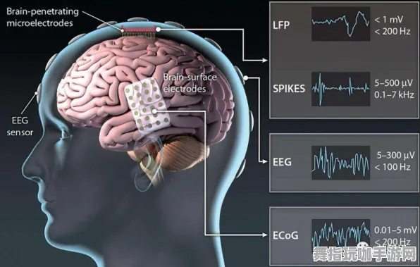 实时更新-0428-脑机接口2.0游戏-Windows全息版-速通技巧