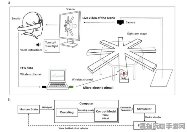 Windows全息版-脑机接口游戏-神经信号编码全流程-GDC 2025游戏开发者大会已结束37天