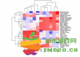 在比较Claude与DeepSeek的相关性时，哪一个更具优势和特点？