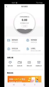 为什么我的安逸花额度无法借出？可能的原因解析与解决方案