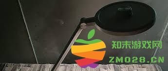 使用护眼灯是否真的能够有效预防近视的发生与发展？