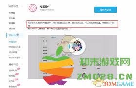 哔哩哔哩大会员对用户有哪些具体的福利和功能作用