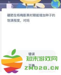 硼肥在杨梅果实膨大阶段是否能有效提升种子的饱满程度？