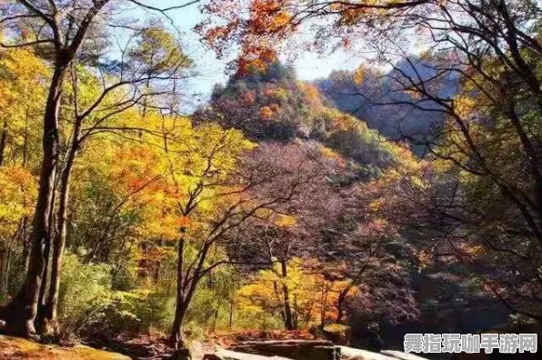 热修复补丁V1-手势交互-抖音小游戏-全方位攻略与技巧总结