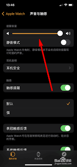 如何在Apple Watch上调整音量设置以优化您的听觉体验