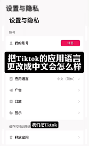 如何将TikTok应用的语言设置为中文以便更好地使用和体验？