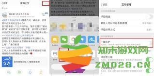 如何找到微博的隐私设置选项及其相关功能使用技巧