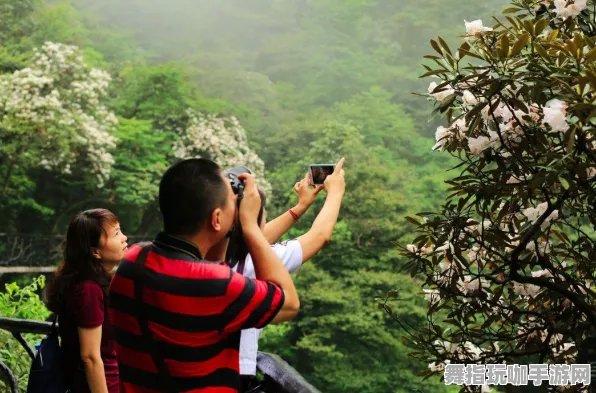 云游戏-五一假期必备-倒计时6天-淘宝互动-冷门神作推荐