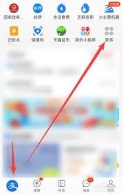 详细步骤教你如何在支付宝中便捷地查询和查看自己的驾驶证信息