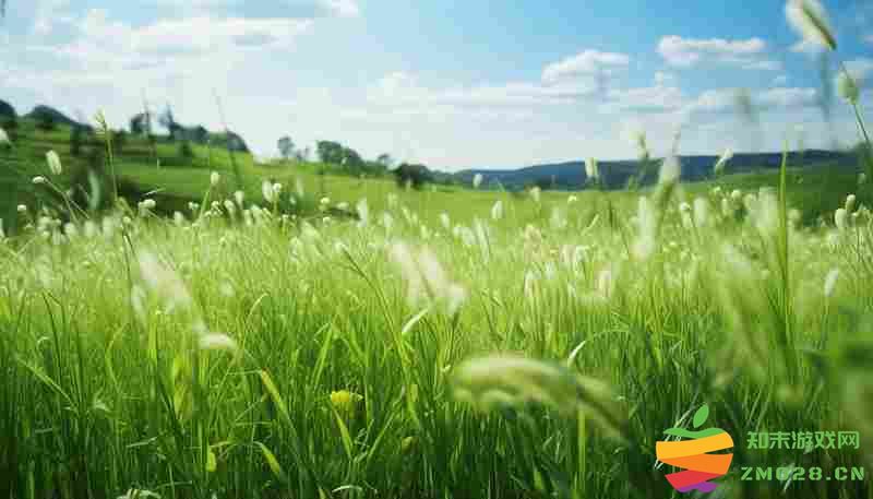 无限暖暖草绒球全收集位置图解