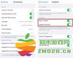 在iPhone设备上利用Spotlight功能进行快速搜索的实用指南