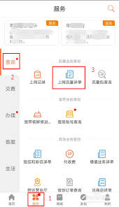 如何通过去上网App查询和查看自己的上网记录以及历史浏览信息