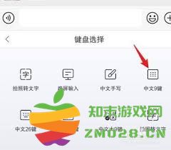 如何设置苹果手机的9键输入法及相关技巧详细指南