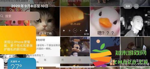 iOS 14来电归属地不显示的问题如何解决，实用的解决方案与步骤