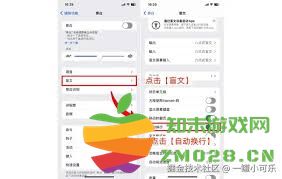 如何在苹果键盘上更改换行快捷键的设置步骤和方法