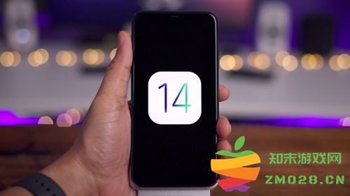 如何使用苹果手机的0.5倍镜头进行拍摄，掌握拍摄技巧与技巧分享