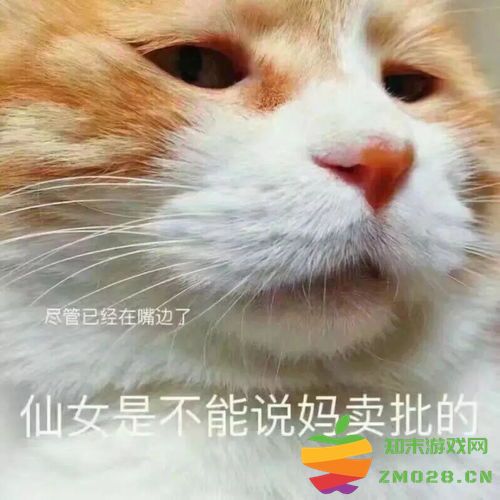 芝士雪豹在网络文化中的象征意义及流行趋势分析