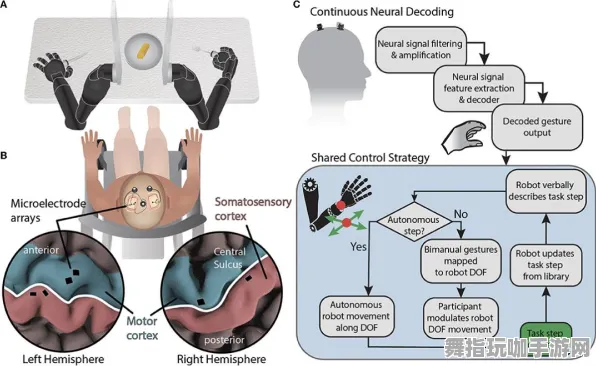脑机接口专用版-体感交互-2025年4月最新版